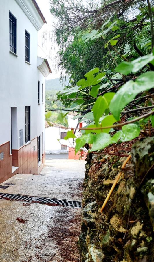 Los Romeros La Casa Junto Al Sendero Del Rio & Piscina # Aire Acondicionado 빌라 외부 사진