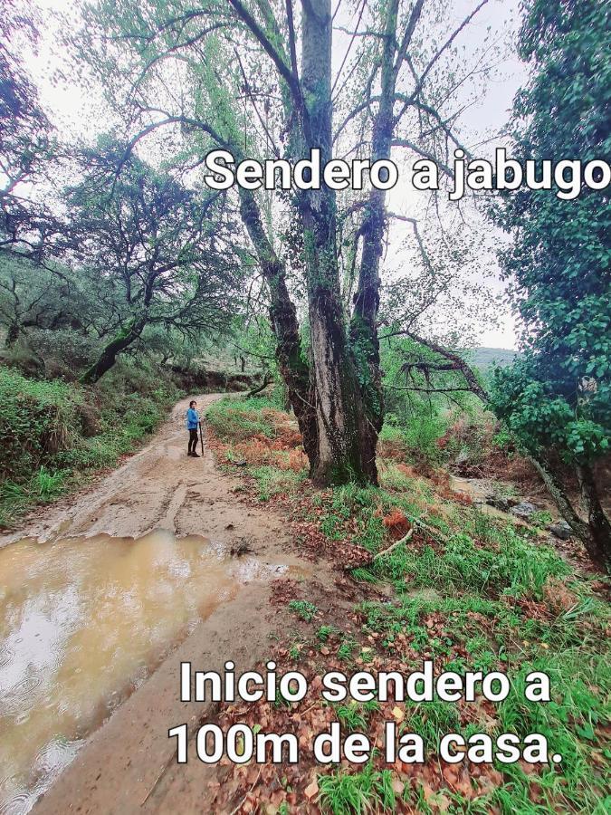 Los Romeros La Casa Junto Al Sendero Del Rio & Piscina # Aire Acondicionado 빌라 외부 사진